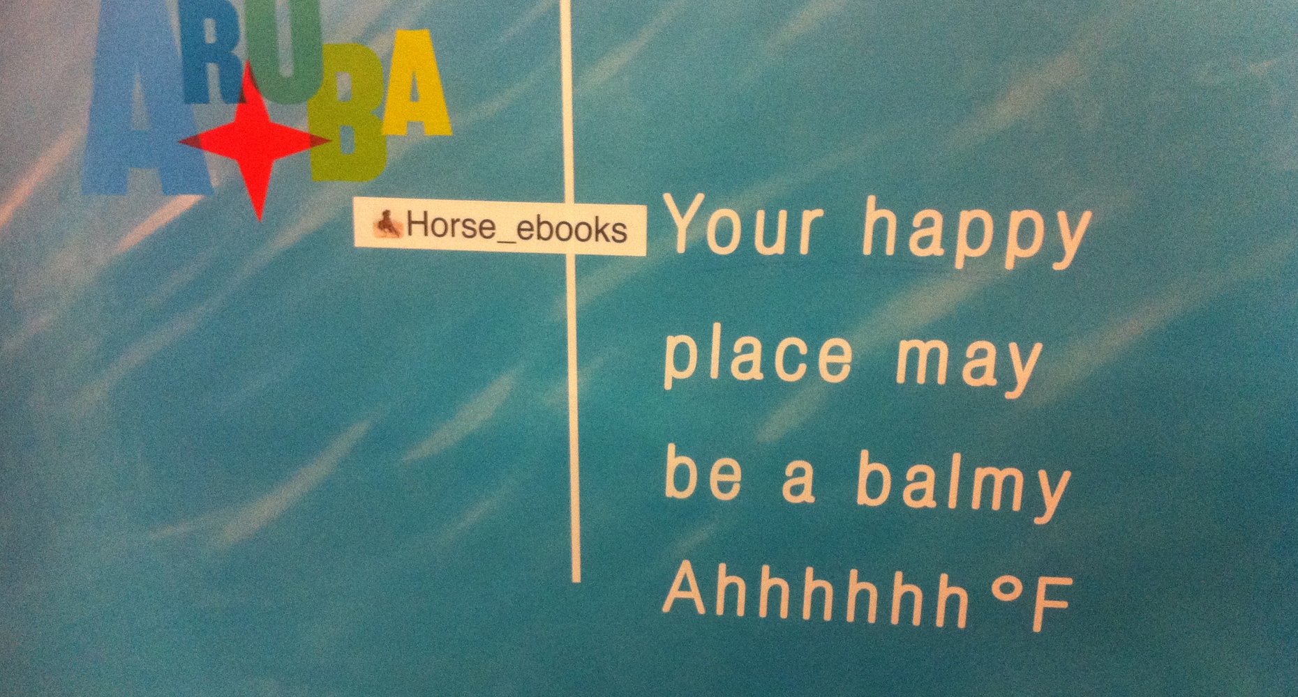 horse1