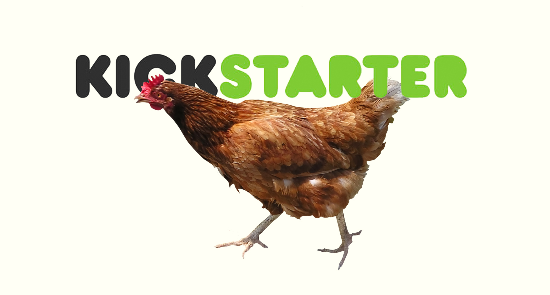 kickstarterchicken